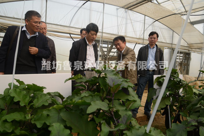 ��Ȫ���B(t��i)ˮ��ȼ��g(sh��)�߲ˬF(xi��n)���^Ħ�������������ɹ����_