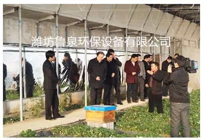 ����(ji��)ǰ��������ɽ���r(n��ng)�ƈ@��ϲ������Ȫ���B(t��i)ˮ��ȷNֲ�ă�(y��u)�|(zh��)��ݮ�������@�^(q��)���a(ch��n)���գ����������ʼҿڸ�!